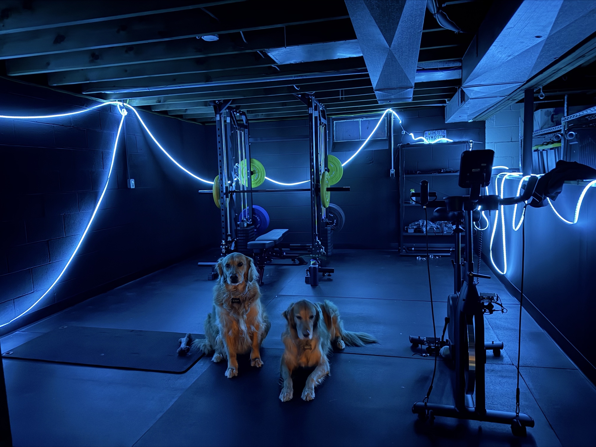 Home gym design